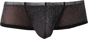 JEsilunmaMY Low Waist Boxer Briefs for Men Mesh Sheer U Convex Pouch Underwear See Through Breathable Panties Shorts Swimwear