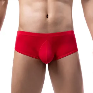 Mens Underwear Sexy Underpants Sexy Breathable Underwear Briefs Men Men No Ride up Underwear